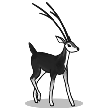 轰炸电话号码网站